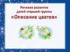 Речевое развитие детей старшей группы "Описание цветов"