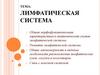 Лимфатическая система