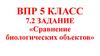 Сравнение биологических объектов. Задание № 2  (5 класс)