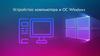 Устройство компьютера и ОС Windows