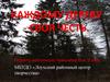 Конкурс «Каждому дереву – своя честь». Деревья Карелии