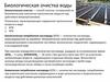 Биологическая очистка воды. Лекция 10
