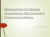 Муниципальные формы социального обеспечения в Пензенском районе