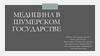 Медицина в Шумерском государстве