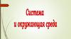 Система и окружающая среда