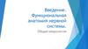 Введение. Функциональная анатомия нервной системы. Общая неврология