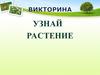 Узнай растение