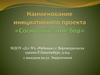 Наименование инициативного проекта "Сосновый мини-бор"