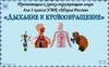 Дыхание и кровообращение. Урок 33