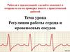 Регуляция работы сердца и кровеносных сосудов