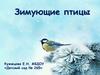 Зимующие птицы