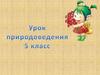 Растения-лекари. Уроки природоведения в 5 классе