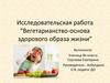 Исследовательская работа “Вегетарианство-основа здорового образа жизни”