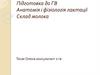 Анатомія і фізіологія лактації. Склад молока