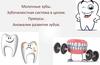 Молочные зубы. Зубочелюстная система в целом. Прикусы. Аномалии развития зубов