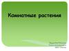 Комнатные растения