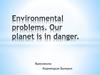Environmental problems. Our planet is in danger
