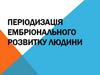Періодизація ембріонального розвитку людини