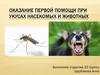 Оказание первой помощи при укусах насекомых и животных