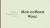 Моя собака Фокс