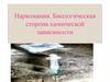Наркомания. Биологическая сторона химической зависимости