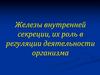 Железы внутренней секреции, их роль в регуляции деятельности организма