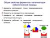 Общие свойства ферментов и катализаторов небиологической природы