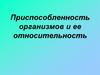 Приспособленность организмов и ее относительность