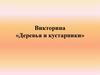 Викторина «Деревья и кустарники»