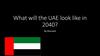What will the UAE look like in 2040?
