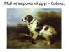 Мой четвероногий друг – Собака