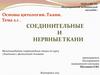 Соединительные и нервные ткани. Тема 2.1