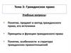 Гражданское право (тема 3)