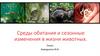 Среды обитания и сезонные изменения в жизни животных. 7 класс