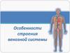 Особенности строения венозной системы. Лекция № 26-2