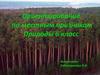 Ориентирование по местным признакам природы 6 класс