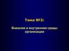 Внешняя и внутренняя среды организации. Тема 3