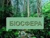Біосфера
