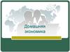 Домашняя экономика