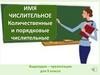 Имя числительное. Количественные и порядковые числительные