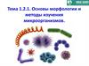 Основы морфологии и методы изучения микроорганизмов