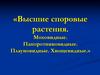 Высшие споровые растения. Моховидные. Папоротниковидные. Плауновидные. Хвощевидные