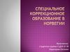 Специальное коррекционное образование в Норвегии