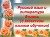 Русский язык и литература 5-класс (с казахским языком обучения)