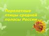 Перелетные птицы средней полосы России