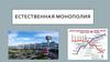 Естественная монополия