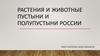 Растения и животные пустыни и полупустыни России
