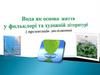 Вода як основа життя у фольклорі та художній літературі