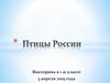 Птицы России. Викторина в 1 классе