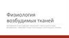 Физиология возбудимых тканей